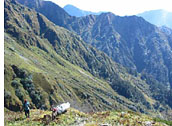 Kalindikhal Trek, Rishikesh, Uttarkashi, Gangotri, Bhojwasa, Tapovan, Nandanvan, Khara Pathar